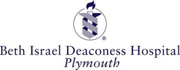 BID plymouth logo